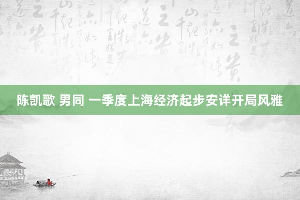 陈凯歌 男同 一季度上海经济起步安详开局风雅