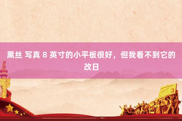 黑丝 写真 8 英寸的小平板很好，但我看不到它的改日
