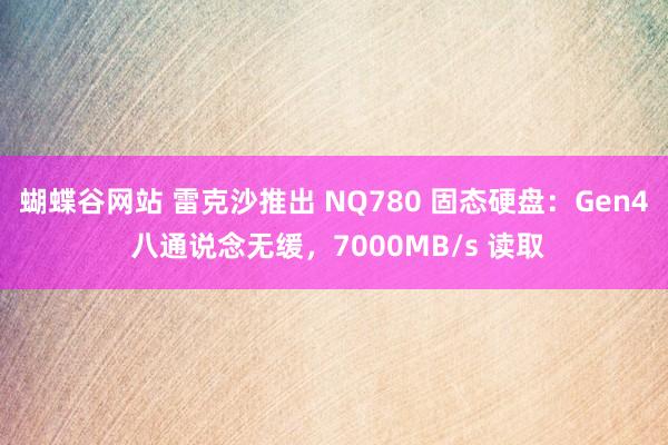 蝴蝶谷网站 雷克沙推出 NQ780 固态硬盘：Gen4 八通说念无缓，7000MB/s 读取