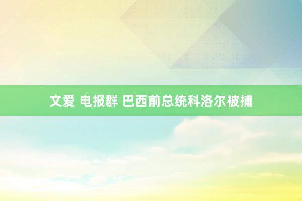 文爱 电报群 巴西前总统科洛尔被捕