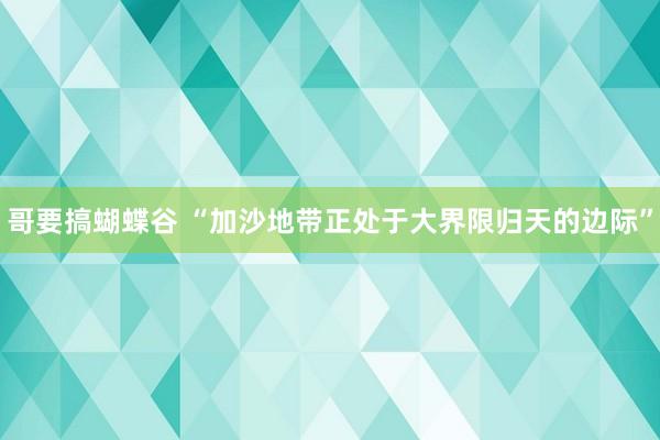 哥要搞蝴蝶谷 “加沙地带正处于大界限归天的边际”